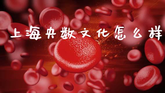上海央数文化怎么样_https://wap.78312.cn_财经新闻_第1张