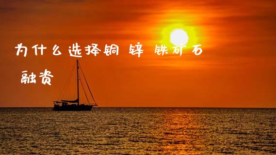 为什么选择铜 锌 铁矿石 融资_https://wap.78312.cn_债券资讯_第1张