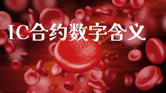 IC合约数字含义_https://wap.78312.cn_全球市场_第1张