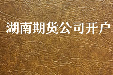 湖南期货公司开户_https://wap.78312.cn_债券资讯_第1张