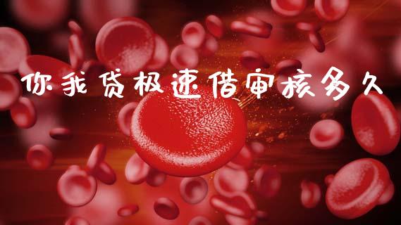 你我贷极速借审核多久_https://wap.78312.cn_金融监管_第1张