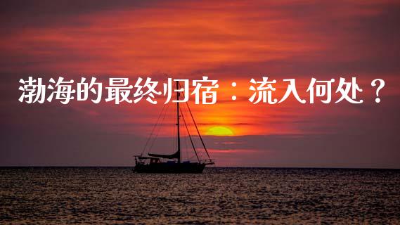 渤海的最终归宿：流入何处？_https://wap.78312.cn_期货开户_第1张