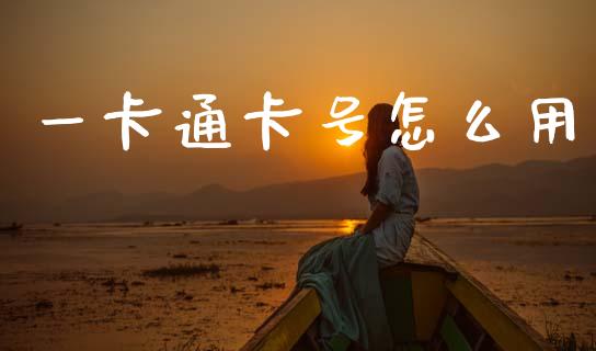 一卡通卡号怎么用_https://wap.78312.cn_财经新闻_第1张