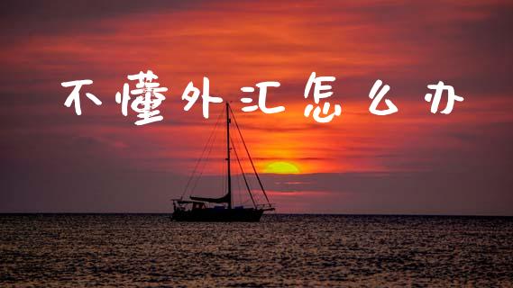 不懂外汇怎么办_https://wap.78312.cn_财经新闻_第1张