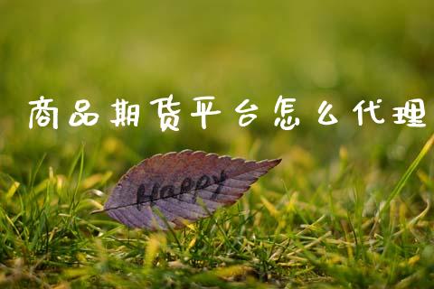 商品期货平台怎么代理_https://wap.78312.cn_期货开户_第1张