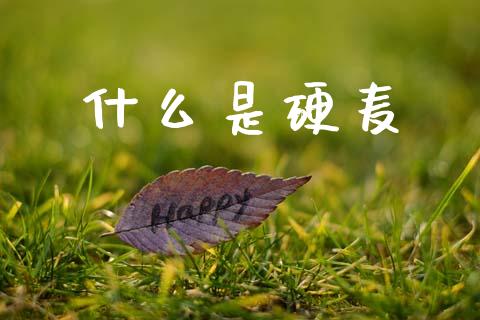 什么是硬麦_财经新闻_第1张_期货开户_金融监管_外汇交易_债券资讯_全球市场_财经新闻 什么是硬麦_https://wap.78312.cn_财经新闻_第1张