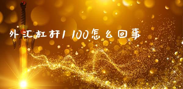 外汇杠杆1 100怎么回事_https://wap.78312.cn_金融监管_第1张