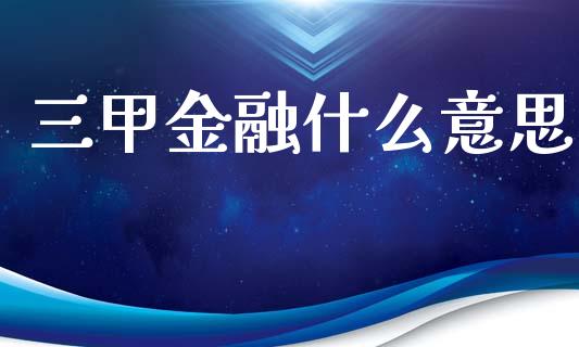 三甲金融什么意思_https://wap.78312.cn_期货开户_第1张