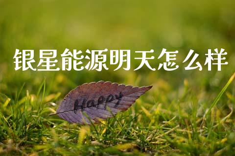 银星能源明天怎么样_https://wap.78312.cn_金融监管_第1张