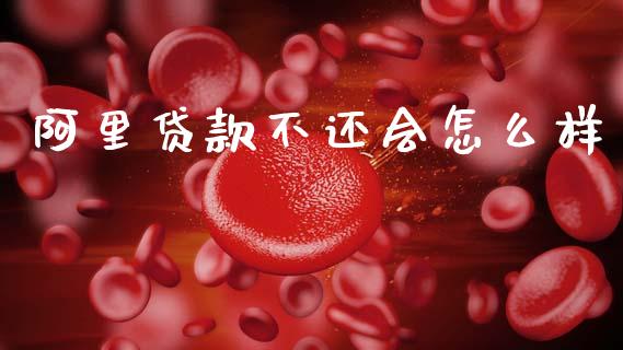 阿里贷款不还会怎么样_https://wap.78312.cn_期货开户_第1张