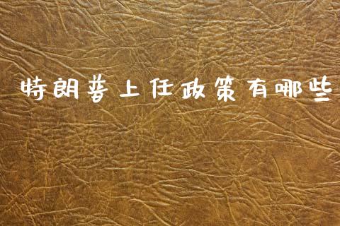 特朗普上任政策有哪些_https://wap.78312.cn_财经新闻_第1张
