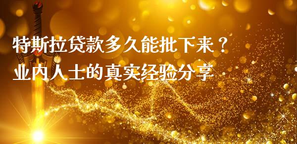 特斯拉贷款多久能批下来？业内人士的真实经验分享_https://wap.78312.cn_金融监管_第1张