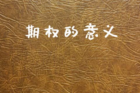 期权的意义_https://wap.78312.cn_债券资讯_第1张