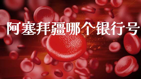 阿塞拜疆哪个银行号_https://wap.78312.cn_期货开户_第1张