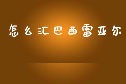 怎么汇巴西雷亚尔_https://wap.78312.cn_外汇交易_第1张