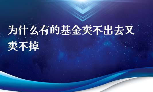 为什么有的基金卖不出去又卖不掉_https://wap.78312.cn_期货开户_第1张