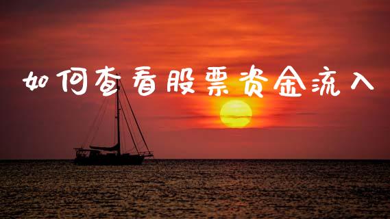 如何查看股票资金流入_https://wap.78312.cn_全球市场_第1张
