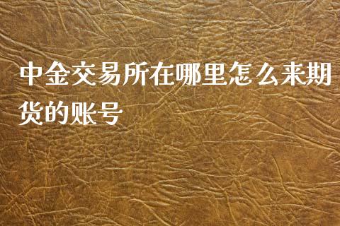 中金交易所在哪里怎么来期货的账号_https://wap.78312.cn_债券资讯_第1张
