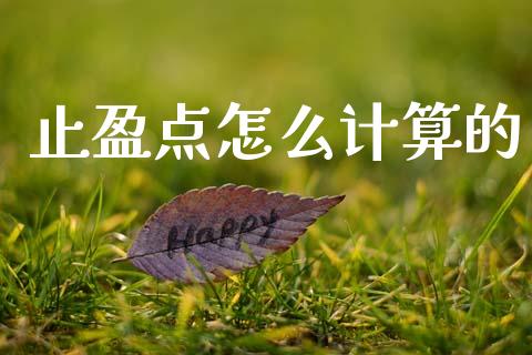 止盈点怎么计算的_https://wap.78312.cn_全球市场_第1张
