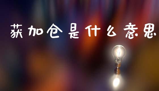 获加仓是什么意思_https://wap.78312.cn_债券资讯_第1张