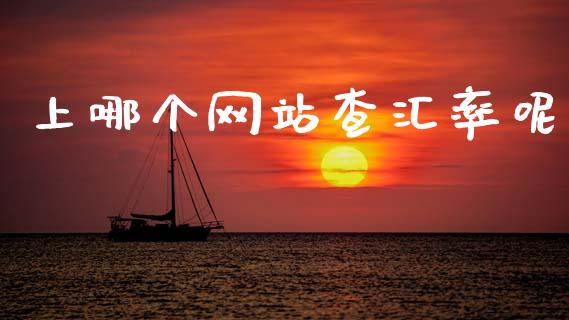 上哪个网站查汇率呢_https://wap.78312.cn_财经新闻_第1张