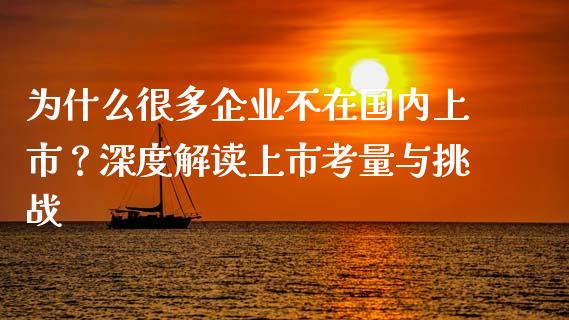 为什么很多企业不在国内上市？深度解读上市考量与挑战_https://wap.78312.cn_金融监管_第1张