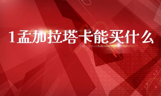 1孟加拉塔卡能买什么_https://wap.78312.cn_债券资讯_第1张