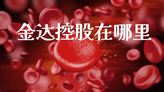 金达控股在哪里_https://wap.78312.cn_财经新闻_第1张