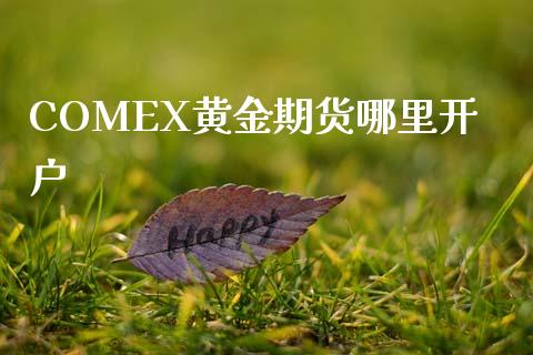 COMEX黄金期货哪里开户_https://wap.78312.cn_债券资讯_第1张