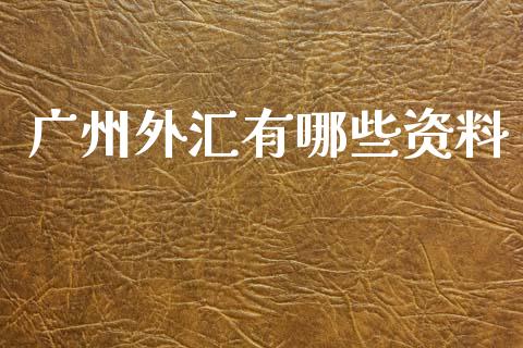 广州外汇有哪些资料_https://wap.78312.cn_金融监管_第1张