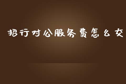招行对公服务费怎么交_https://wap.78312.cn_外汇交易_第1张