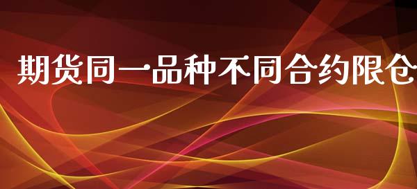 期货同一品种不同合约限仓_https://wap.78312.cn_期货开户_第1张