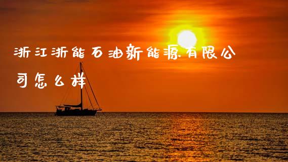 浙江浙能石油新能源有限公司怎么样_https://wap.78312.cn_外汇交易_第1张