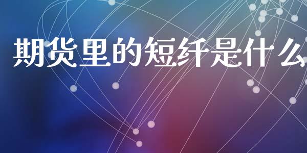 期货里的短纤是什么_https://wap.78312.cn_金融监管_第1张