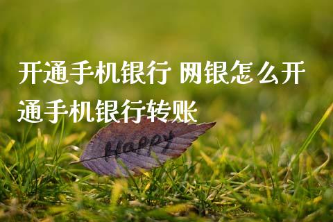 开通手机银行 网银怎么开通手机银行转账_https://wap.78312.cn_外汇交易_第1张