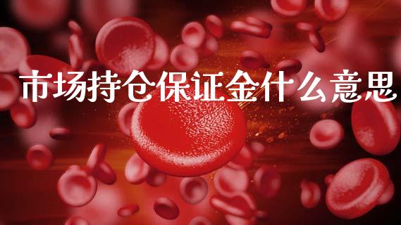 市场持仓保证金什么意思_https://wap.78312.cn_金融监管_第1张