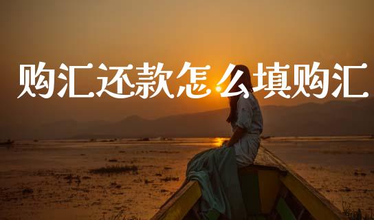 购汇还款怎么填购汇_https://wap.78312.cn_全球市场_第1张