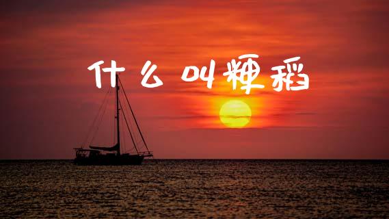 什么叫粳稻_https://wap.78312.cn_债券资讯_第1张