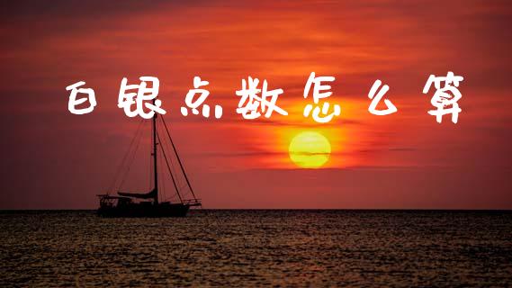 白银点数怎么算_https://wap.78312.cn_外汇交易_第1张