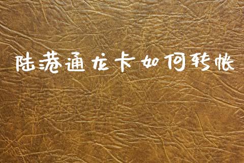 陆港通龙卡如何转帐_https://wap.78312.cn_期货开户_第1张