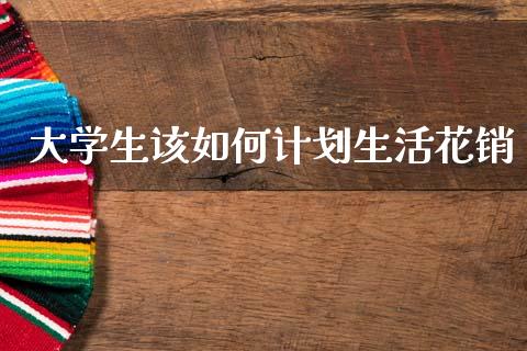 大学生该如何计划生活花销_https://wap.78312.cn_期货开户_第1张