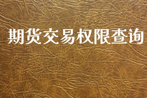 期货交易权限查询_https://wap.78312.cn_期货开户_第1张