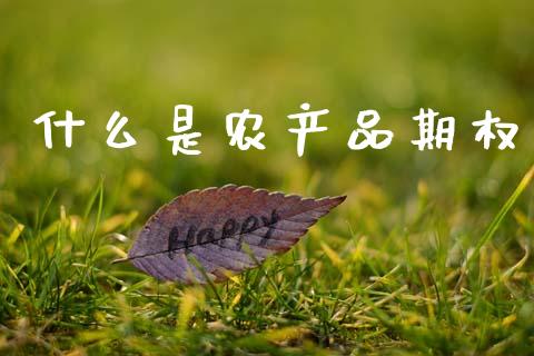 什么是农产品期权_https://wap.78312.cn_财经新闻_第1张