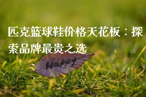 匹克篮球鞋价格天花板：探索品牌最贵之选_https://wap.78312.cn_期货开户_第1张