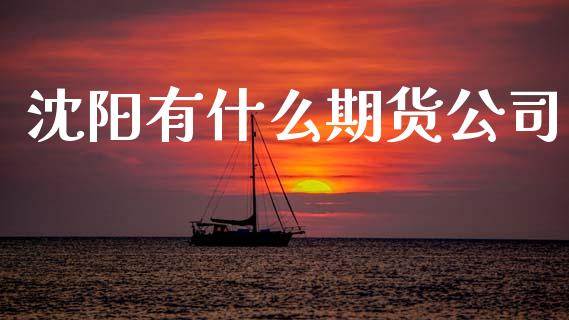 沈阳有什么期货公司_https://wap.78312.cn_财经新闻_第1张