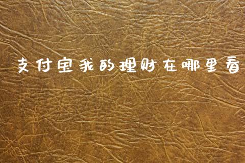 支付宝我的理财在哪里看_https://wap.78312.cn_财经新闻_第1张