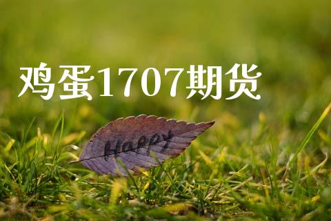 鸡蛋1707期货_https://wap.78312.cn_金融监管_第1张