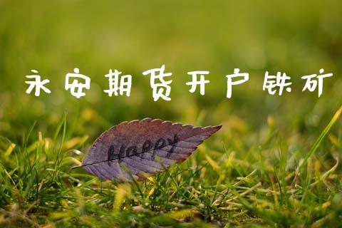 永安期货开户铁矿_https://wap.78312.cn_期货开户_第1张
