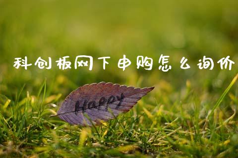 科创板网下申购怎么询价_https://wap.78312.cn_债券资讯_第1张