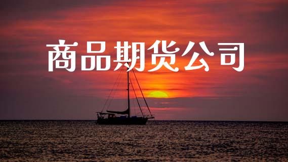 商品期货公司_https://wap.78312.cn_外汇交易_第1张